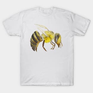 Watercolor Bumblebee Design T-Shirt